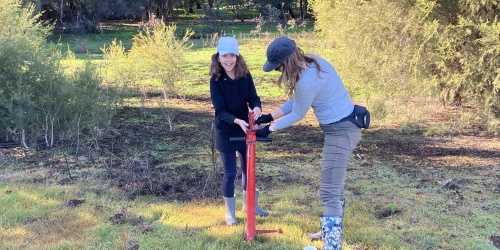 Friends of Bennett Brook planting along the brook under a Round 5 project