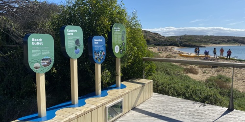 New boardwalk and interpretive signage on Penguin Island