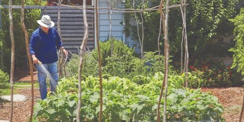 Sustainable gardening is Josh’s passion. Photo – Rob Firth 