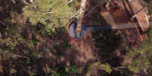 View from 37 metres high up in the Gloucester Tree, Pemberton