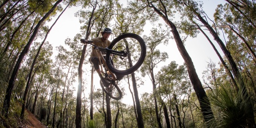 Cyclists riding along the Collie trail. Photo Nick Quinn/Arklow MTB Trails