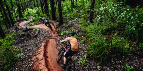 Person on a bike riding through the Inzamia Trail. Photo by Denzil Heeger 