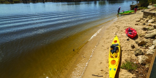 Kaykas on the shore of the Swan River