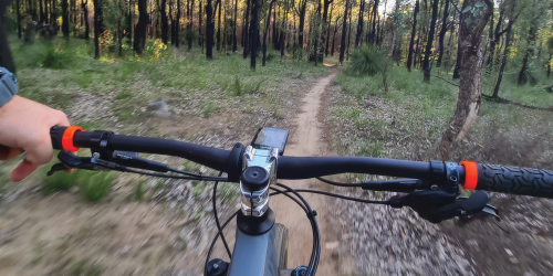 The Fox mountain bike trail.   Photo – DBCA