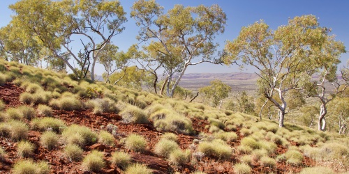 Karijini National Park. Photo – Judy Dunlop/DBCA