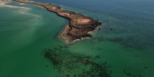Lombadina Point, Bardi Jaawi Gaarra Marine Park