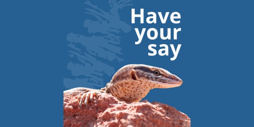 A lizard's head sticks out over a rock with a blue bacground and text that reads: Have your say