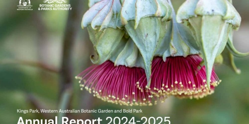 BGPA Annual Report cover 2024-25