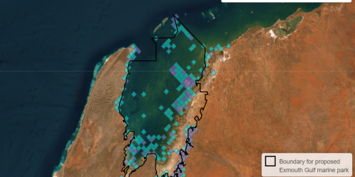Marine values mapping survey for the proposed Exmouth Gulf Marine Park