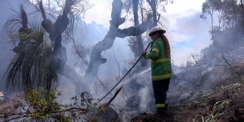 A woman on the fire ground with smoke surrounding