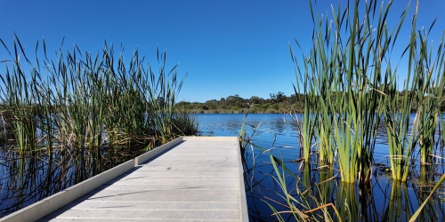 Lake Goollelal boardwalk. Photo - Peter Nicholas/DBCA