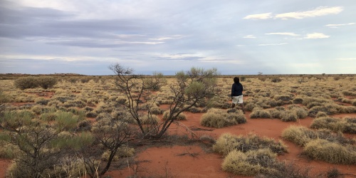 Someone walking off into the Australian bush