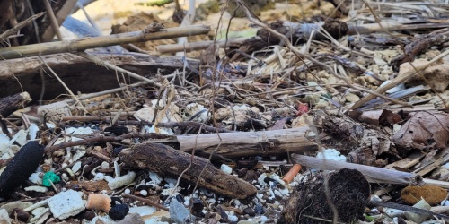 A riverbank with small pieces of plastic visible between sand and sticks