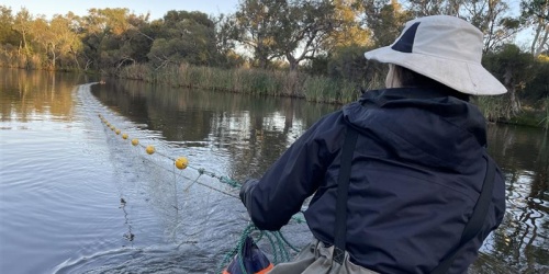 Scientist holding a net in a river
