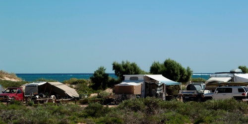 Camping site by the beach with several tents, vehicles, and lush greenery under a clear blue sky.