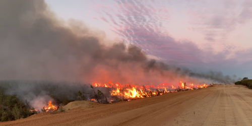 A buffer burn at Skeleton Rock. Photo - DBCA
