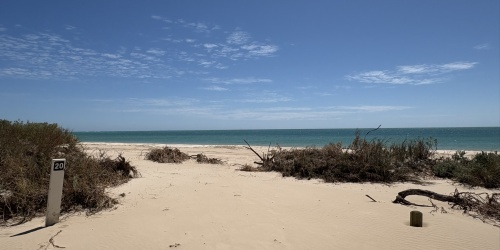 A campsite marker can be seen on a beach with some scrub and a blue sky behind.