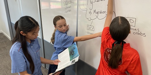 Three female high school students write on a whiteboard and look at a magazine