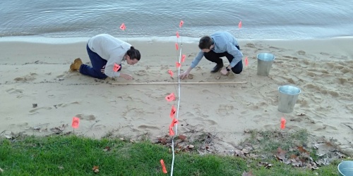 Two scientists examining a sandy area of a beach for plastic contamination
