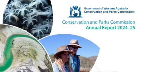 CPC Annual report 2024-2025