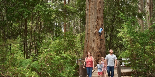 Family in front of big tree