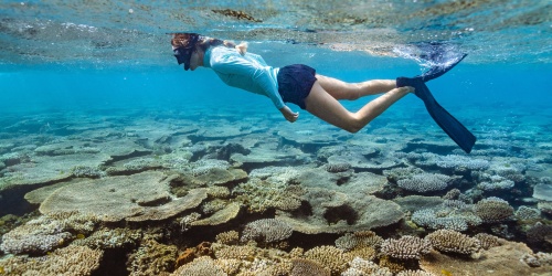 A woman snorkelling in shallow water