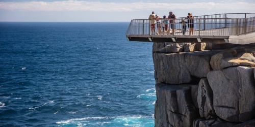 People looking out from a cliff-top viewing platform