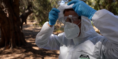 Person wearing protective gloves, mask, goggles and full-body coveralls adjusting hood in a bushland setting.