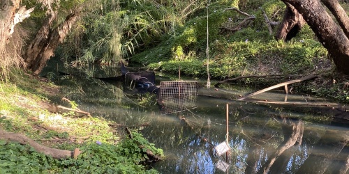 A fyke net in a river