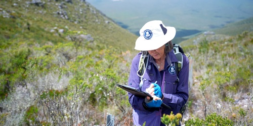 Stirling Range Flora, phot by Samille Mitchell/DBCA