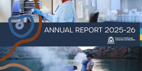 DBCA Annual Report 2025–26 cover