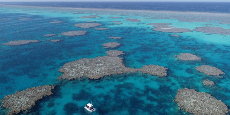 Marine monitoring in the Rowley Shoals. Photo by Will Robbins/DBCA