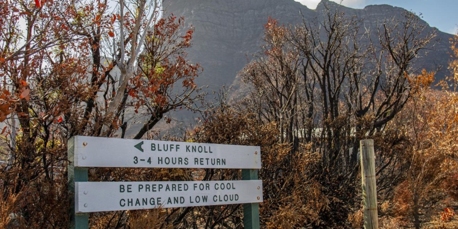 Bluff Knoll. Photo- Shem Bisluk/DBCA