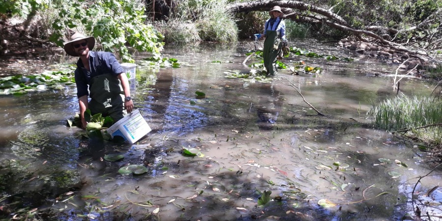 Members of the Armadale Gosnells Landcare Group involved in the Canning River Invasive Water lily Eradication Program Trial.