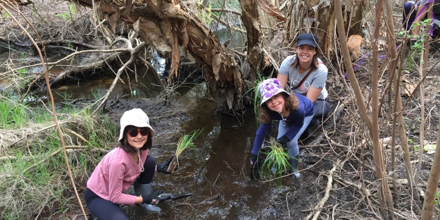 Rivercare - Friends of Bennett Brook