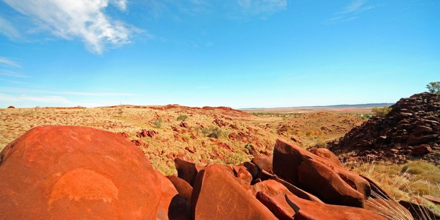 Echidna rock art at Murujuga