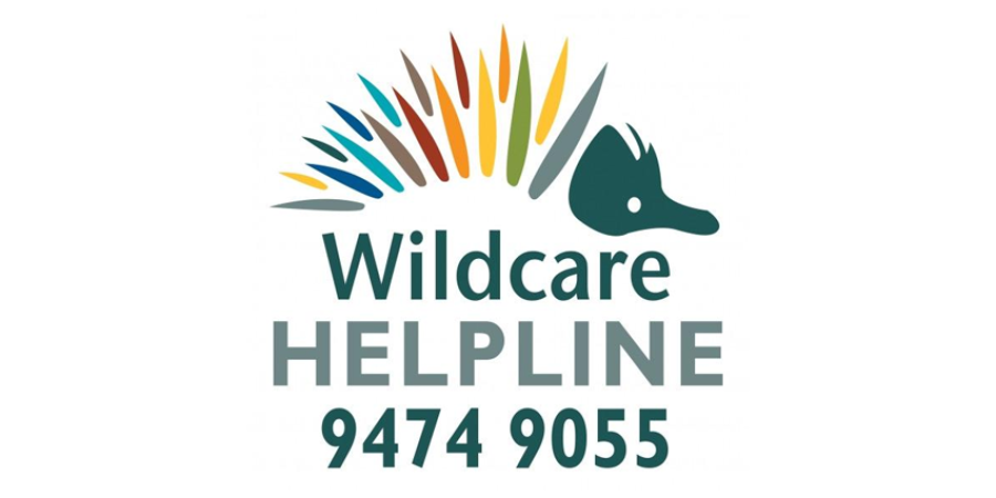 Wildcare Helpline