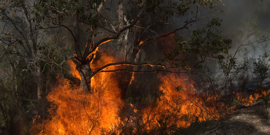 Bushfire in the Stirling Range. Photo Sally Treasure, DBCA