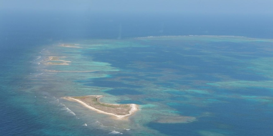 Coral, Abrolhos National Park, Brazil - Conservation Leadership