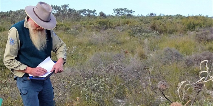 DBCA Interpreter recording Banksia death in heathland