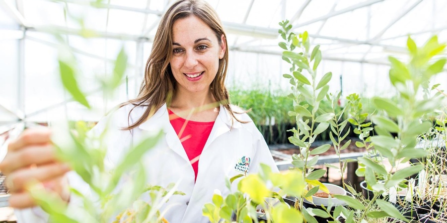 Kings Park Scientist examining flora