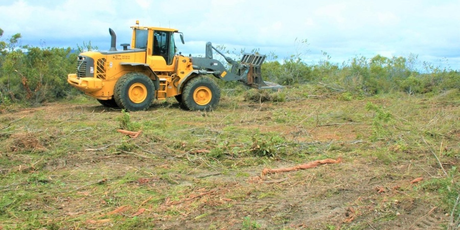 Machine clearing vegetation Photo by Damien Rathbone