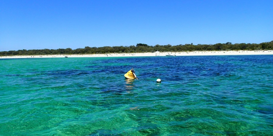 A yellow mooring buoy in the water at Ngari Capes Marine Parks.  Photo/DBCA