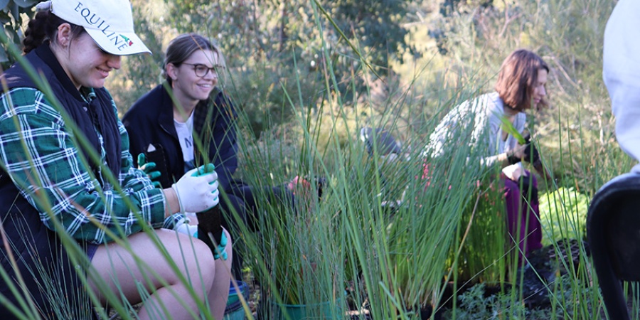 Ellen Brook Catchment Group planting day