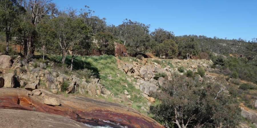 John Forrest National Park - Photo Kevin Smith