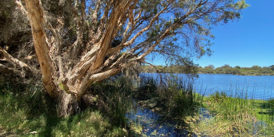 Lake Goollelal Yellagonga Regional Park - Photo Tamara Beers