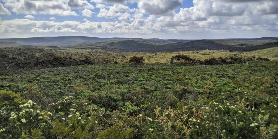 Lesueur National Park - Photo Bronwyn Wells