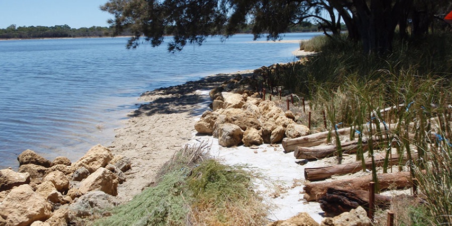 An image of a Riverbank-funded foreshore protection project in the Swan Canning Riverpark