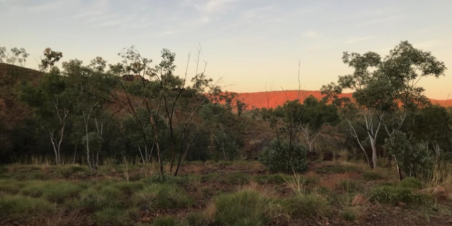 Spring Creek Purnululu National Park - Photo Jacki Baxter, DBCA