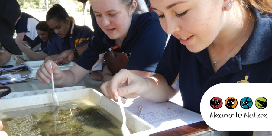 School students examining aquatic species